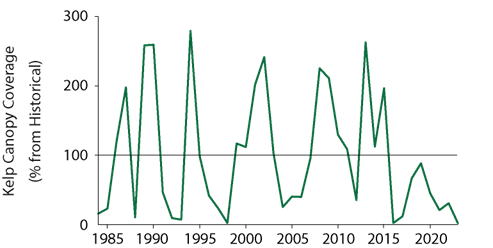 Figure 1. Time-series of kelp canopy coverage relative to the historical baseline (%) for a single coastal segment (CA_3; Point Loma Kelp Forest). Historical baseline is the median canopy coverage from 1984-2013.