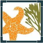 Logo for MARINe featuring an orange sea star