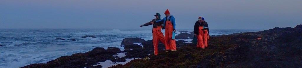 Photograph of three people standing at the ocean's edge pointing at the waves