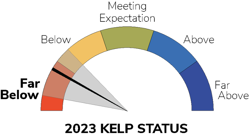 gauge_15July172024