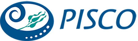 piscologo_0