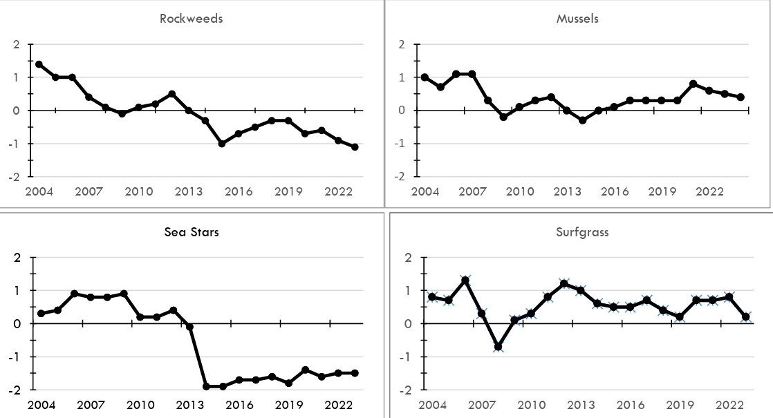 Four-panel graph showing the trend in abundance score for rockweeds, mussels, sea stars, and surfgrass. Rockweeds and sea stars have steadily declined below 0 since 2013 while mussels and surfgrasses have hovered around 0 with no discernable trend.